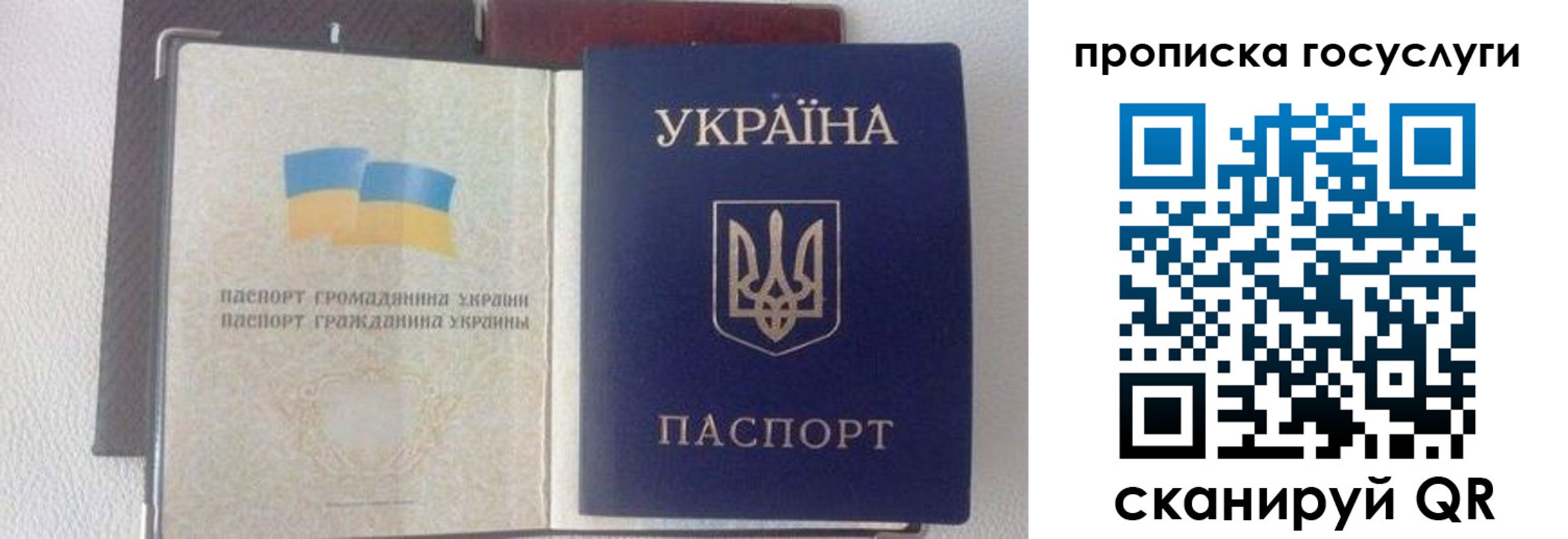временная регистрация недорого в Полярном